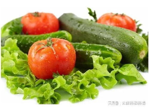 農產品農藥殘留檢測儀器 保障食品安全的科學利器