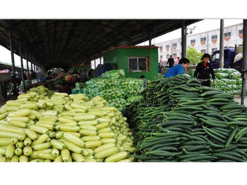 工廠蔬菜配送報價 農(nóng)產(chǎn)品供應(yīng)鏈的透明化與效率提升