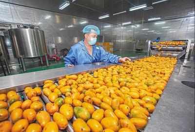 育好物、出爆款、強(qiáng)品牌 打造現(xiàn)代農(nóng)業(yè)價值鏈的三部曲